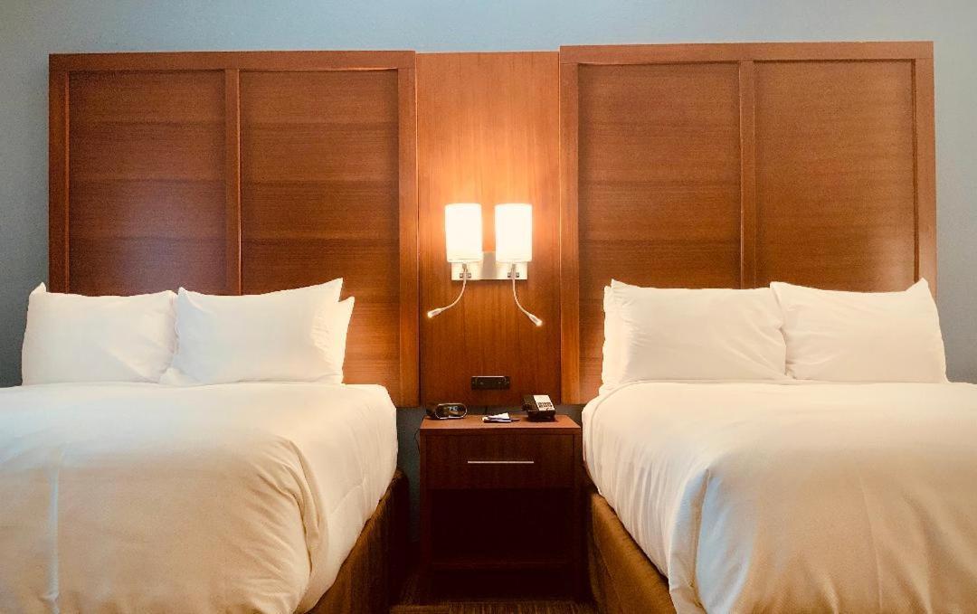 Comfort Suites Cedar Park Esterno foto